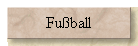 Fuball